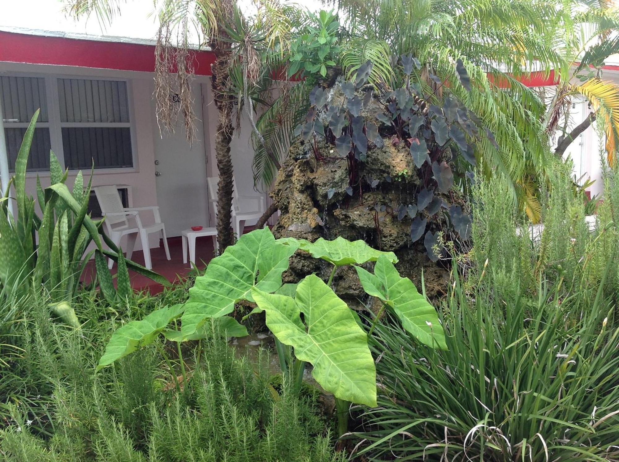 Birch Patio Motel Fort Lauderdale Eksteriør billede